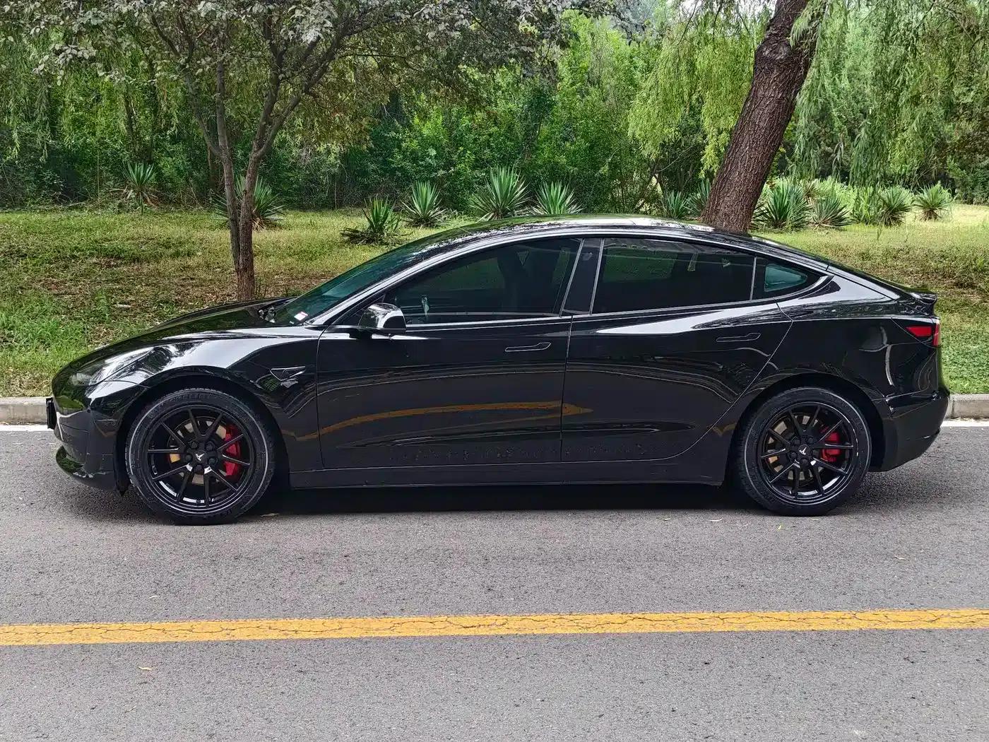 Model 3 2021 Facelift Standard Range Rear-Wheel Drive Upgrade Version 3D1 — миниатюра 5