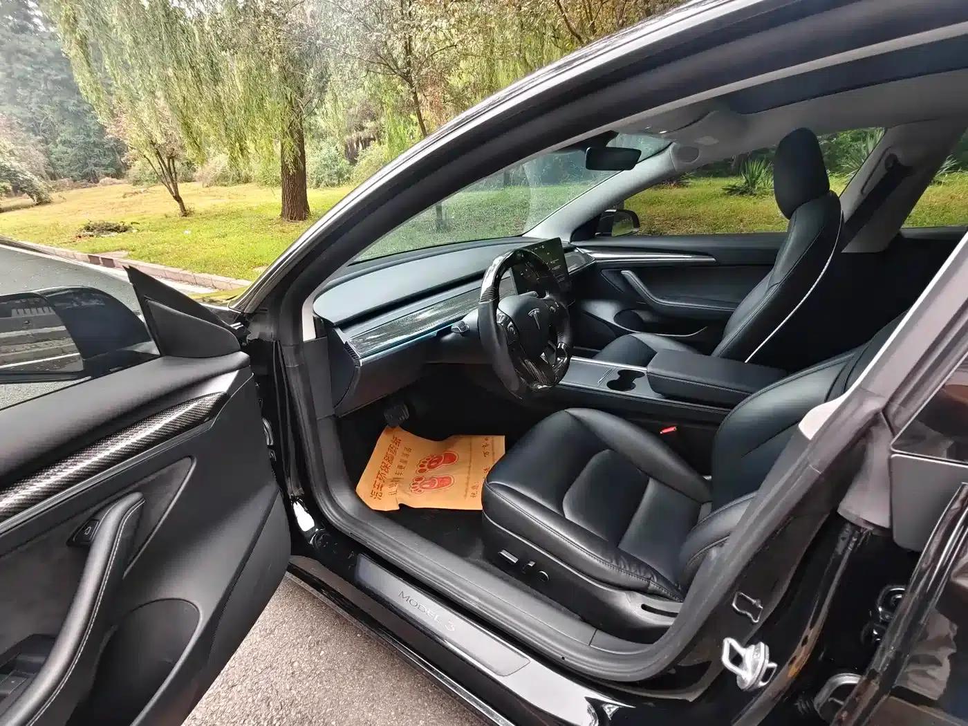 Model 3 2021 Facelift Standard Range Rear-Wheel Drive Upgrade Version 3D1 — миниатюра 8