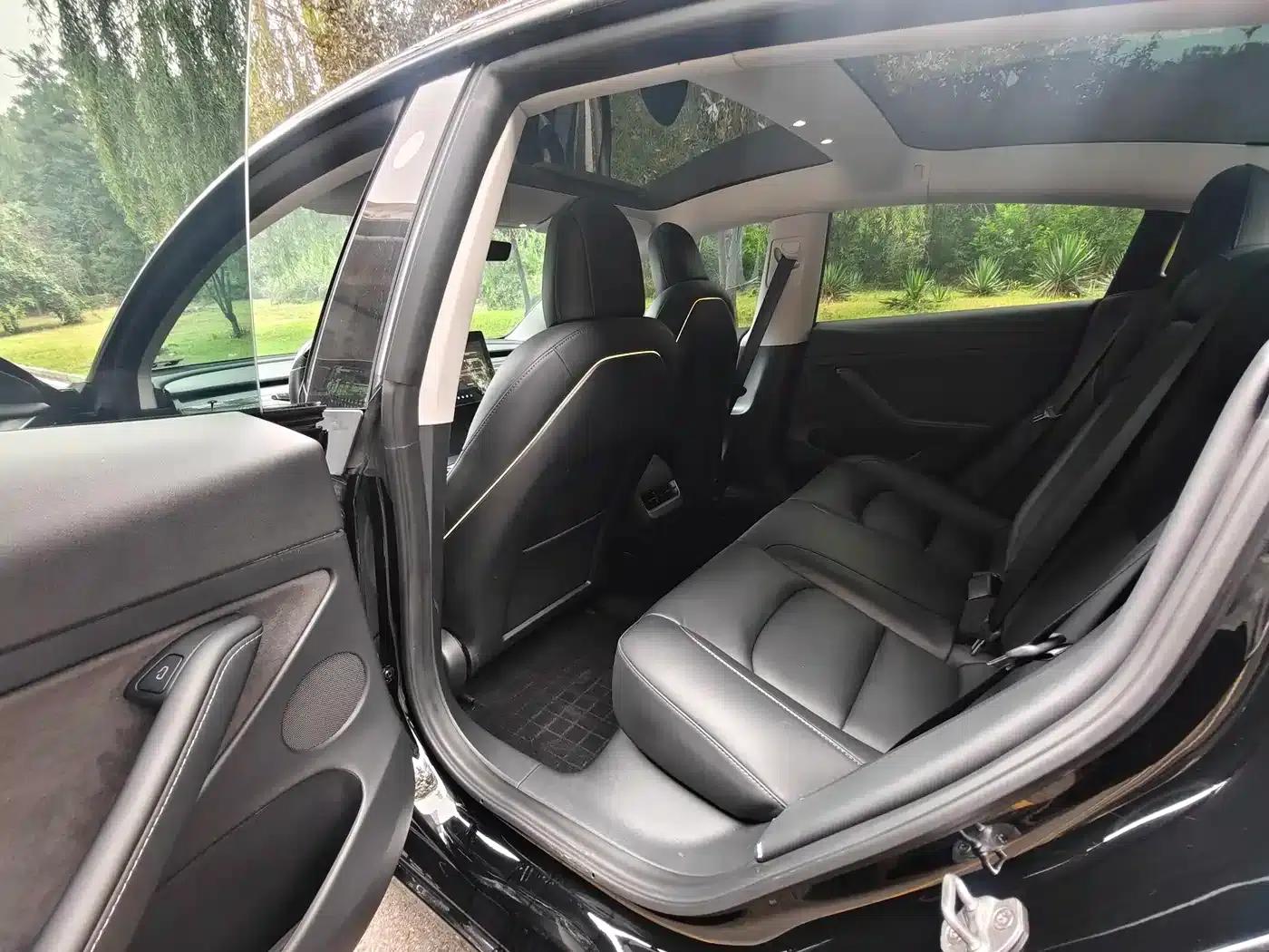 Model 3 2021 Facelift Standard Range Rear-Wheel Drive Upgrade Version 3D1 — миниатюра 9