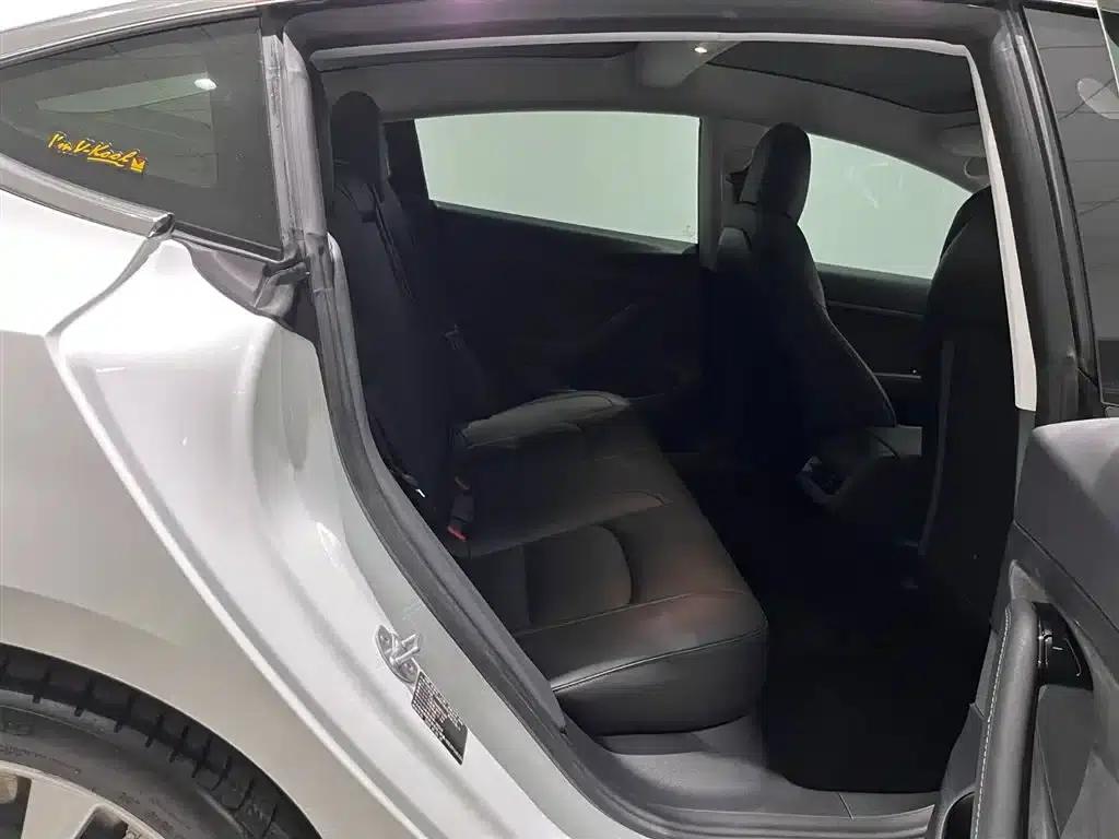 Model 3 2021 Standard Range Rear-Wheel Drive Upgrade 3D6 — миниатюра 6