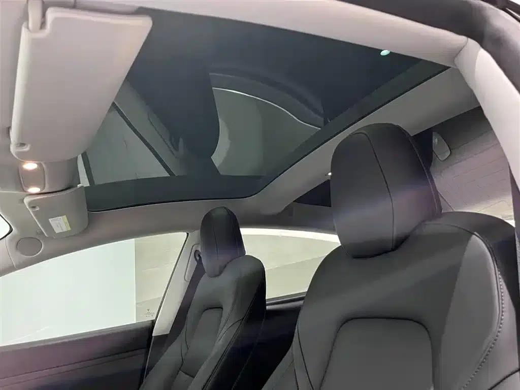 Model 3 2021 Standard Range Rear-Wheel Drive Upgrade 3D6 — миниатюра 8