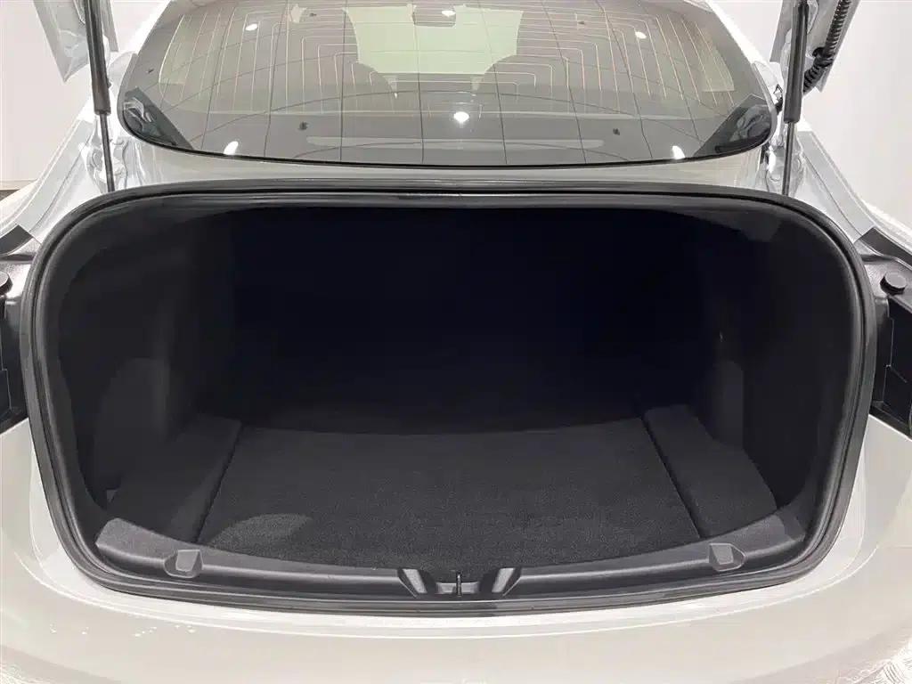 Model 3 2021 Standard Range Rear-Wheel Drive Upgrade 3D6 — миниатюра 9