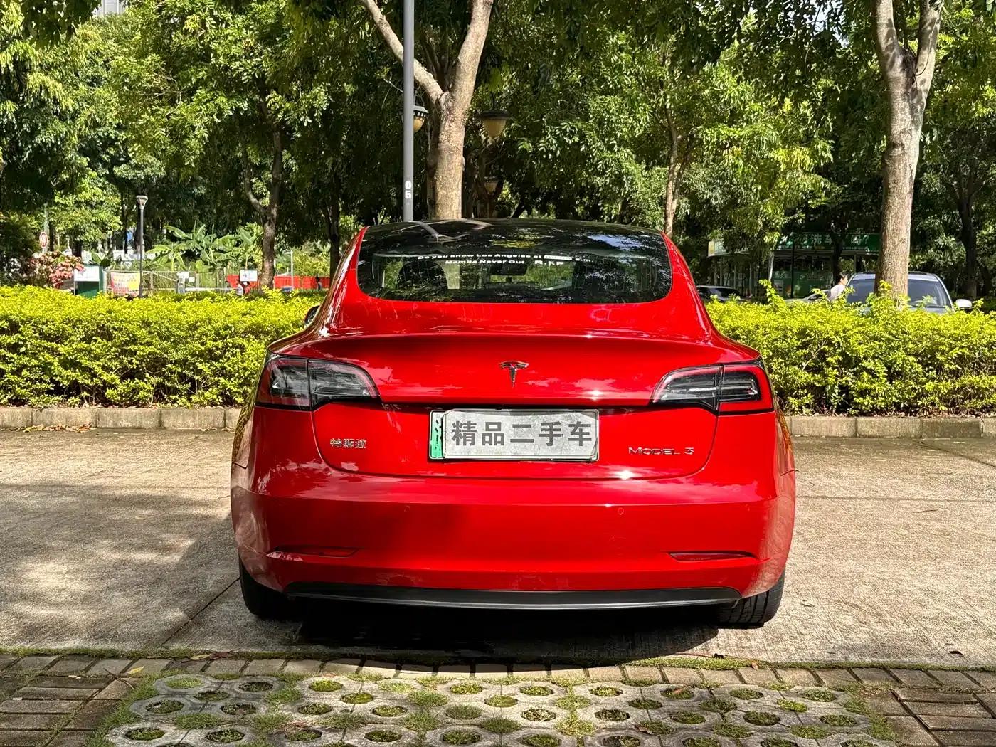Model 3 2019 Standard Range Rear-Wheel Drive Upgrade — миниатюра 5