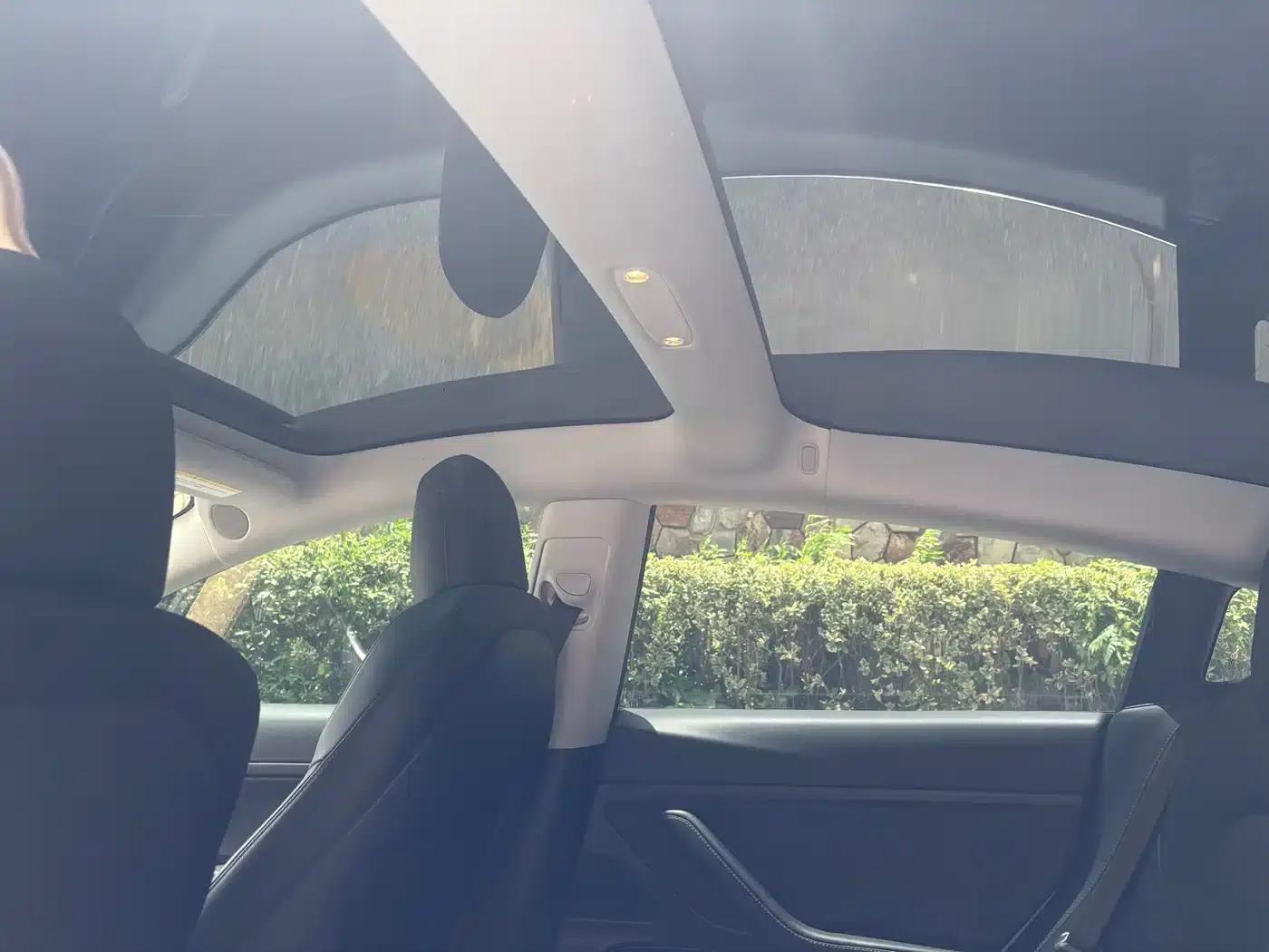 Model 3 2019 Standard Range Rear-Wheel Drive Upgrade — миниатюра 15