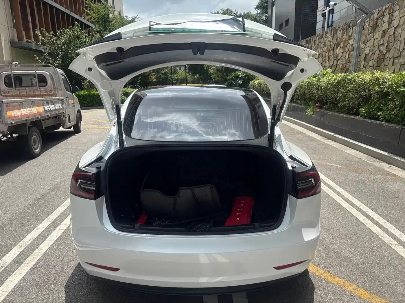 Model 3 2019 Standard Range Rear-Wheel Drive Upgrade — миниатюра 17