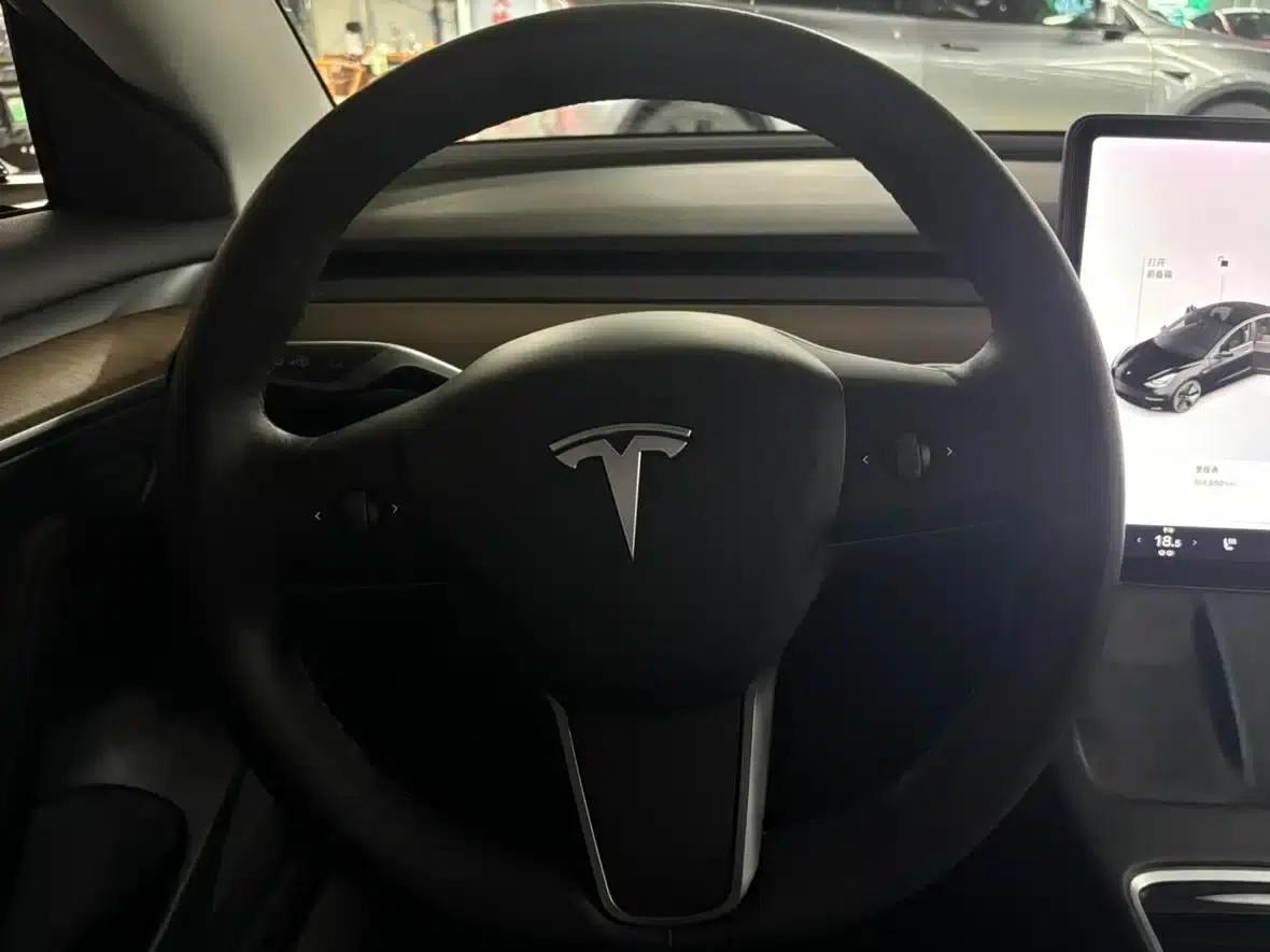Model 3 2021 Standard Range Rear-Wheel Drive Upgrade — миниатюра 9