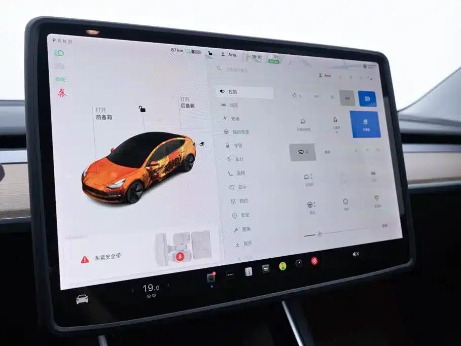 Model 3 2020 Standard Range Rear-Wheel Drive Upgrade — миниатюра 23