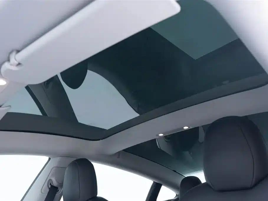 Model 3 2020 Standard Range Rear-Wheel Drive Upgrade — миниатюра 27