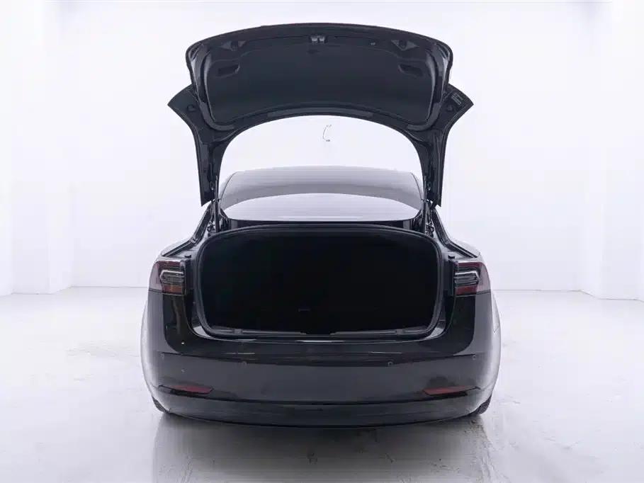 Model 3 2020 Standard Range Rear-Wheel Drive Upgrade — миниатюра 9