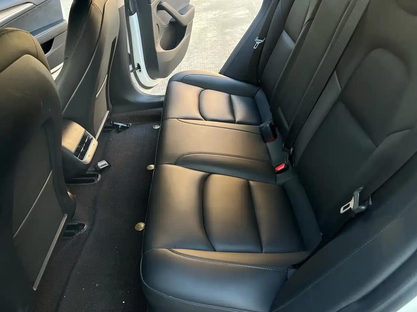 Model 3 2021 Facelift Standard Range Rear-Wheel Drive Upgrade Version 3D1 — миниатюра 12