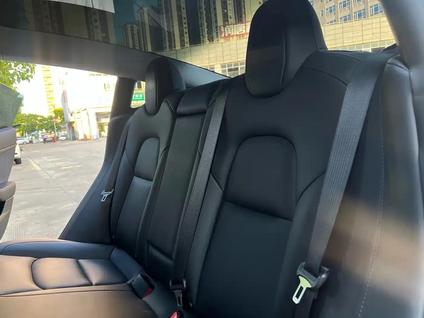 Model 3 2021 Facelift Standard Range Rear-Wheel Drive Upgrade Version 3D1 — миниатюра 13