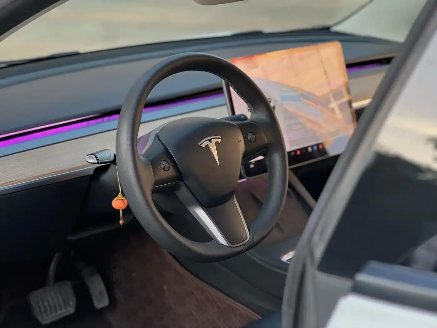 Model 3 2021 Facelift Standard Range Rear-Wheel Drive Upgrade Version 3D1 — миниатюра 17