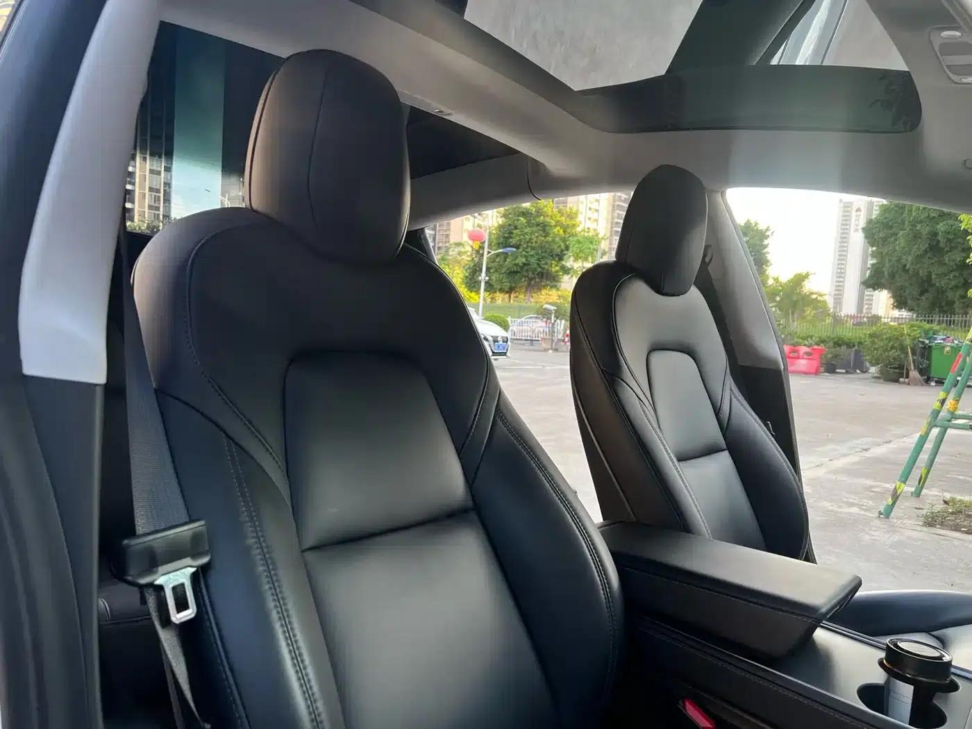 Model 3 2021 Facelift Standard Range Rear-Wheel Drive Upgrade Version 3D1 — миниатюра 7
