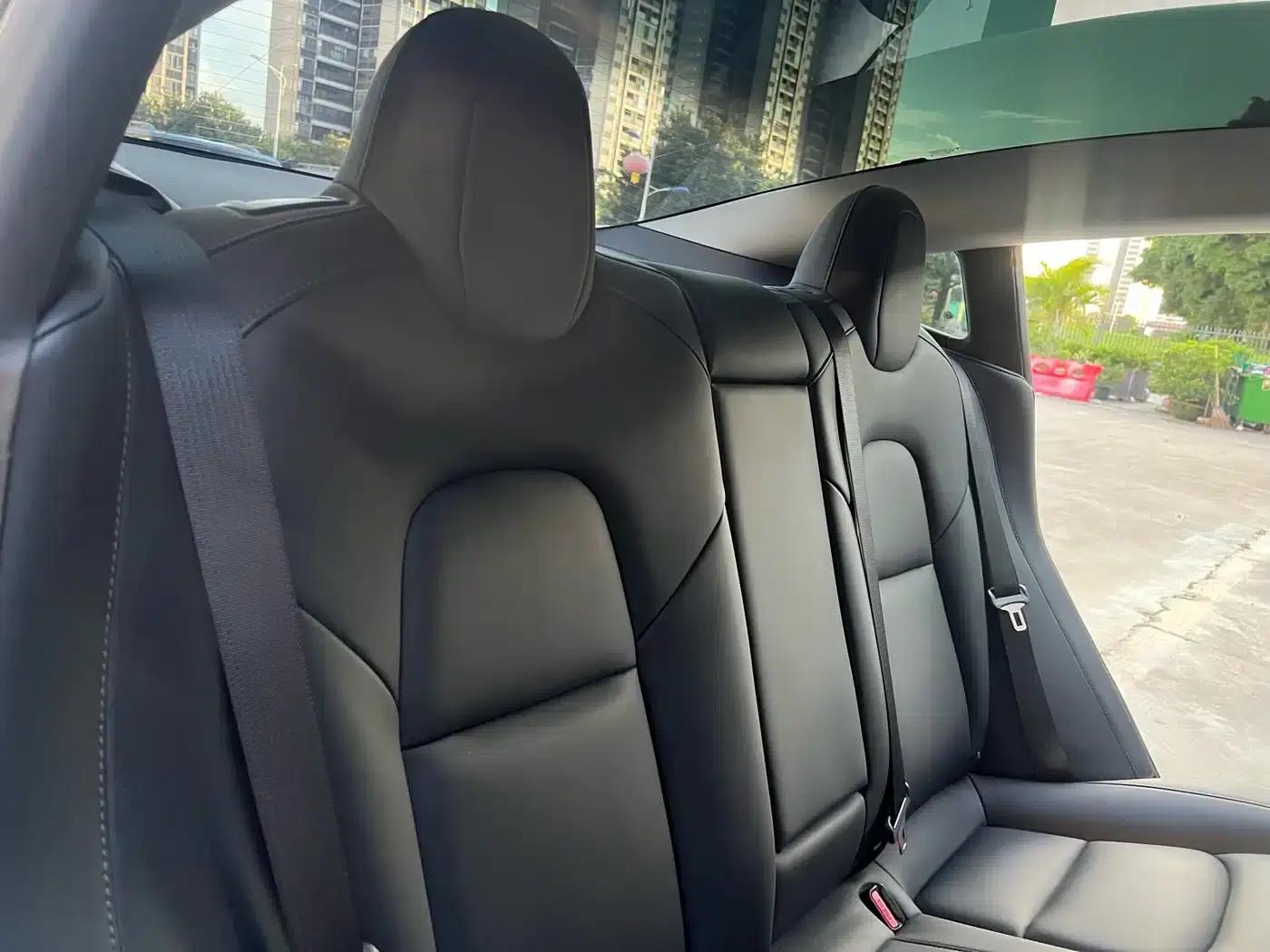 Model 3 2021 Facelift Standard Range Rear-Wheel Drive Upgrade Version 3D1 — миниатюра 10