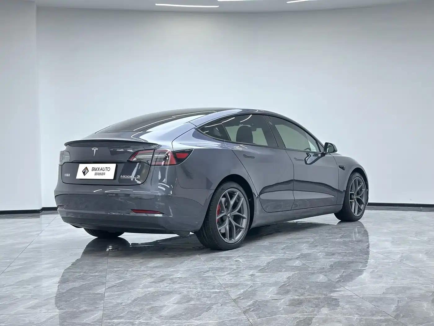 Model 3 2022 Performance All-Wheel Drive — миниатюра 6