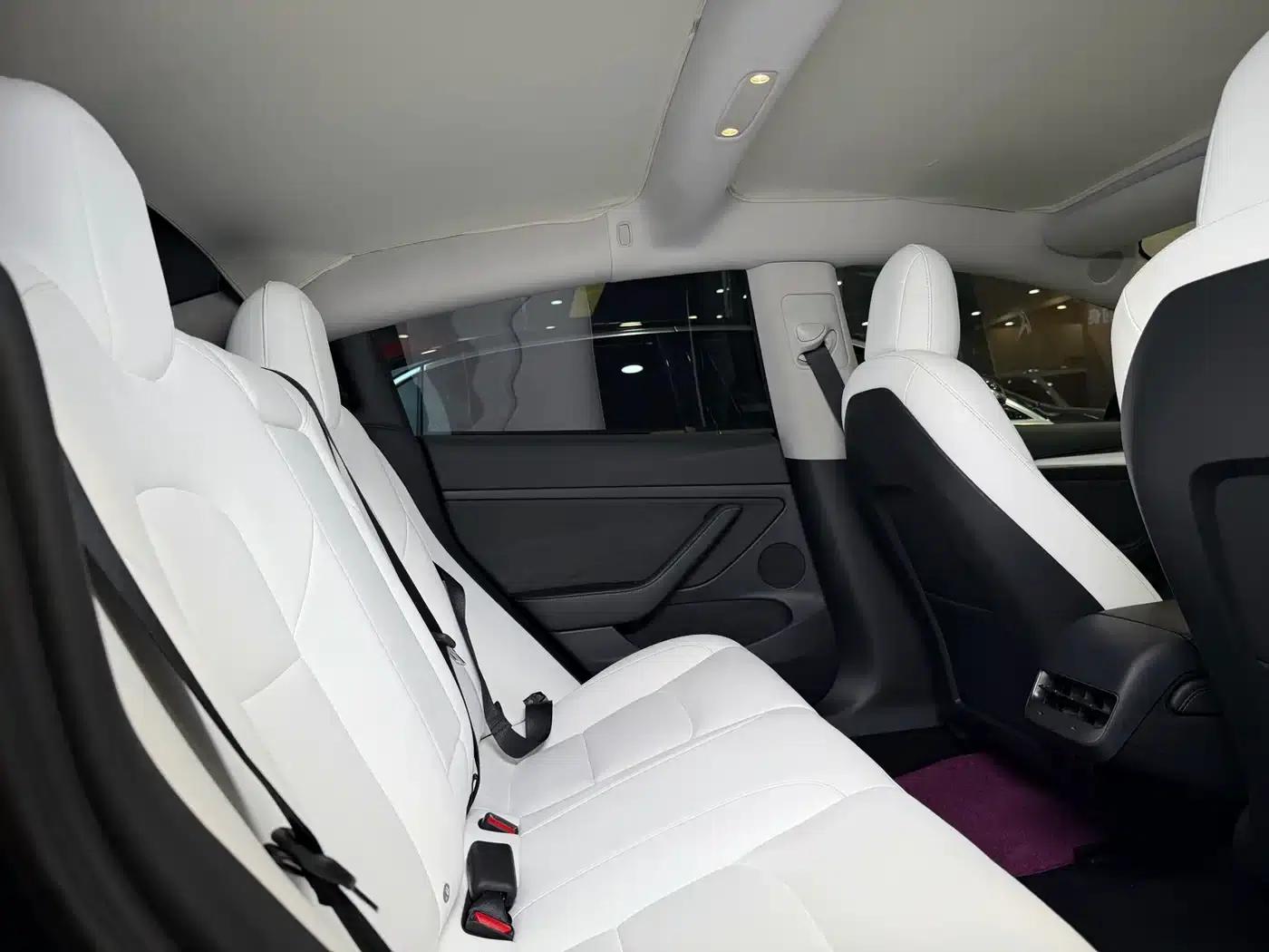 Model 3 2021 Performance All-Wheel Drive — миниатюра 15