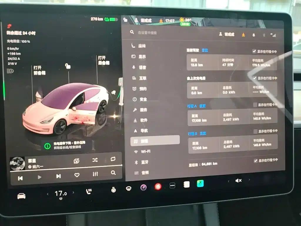 Model 3 2022 Rear-Wheel Drive — миниатюра 12