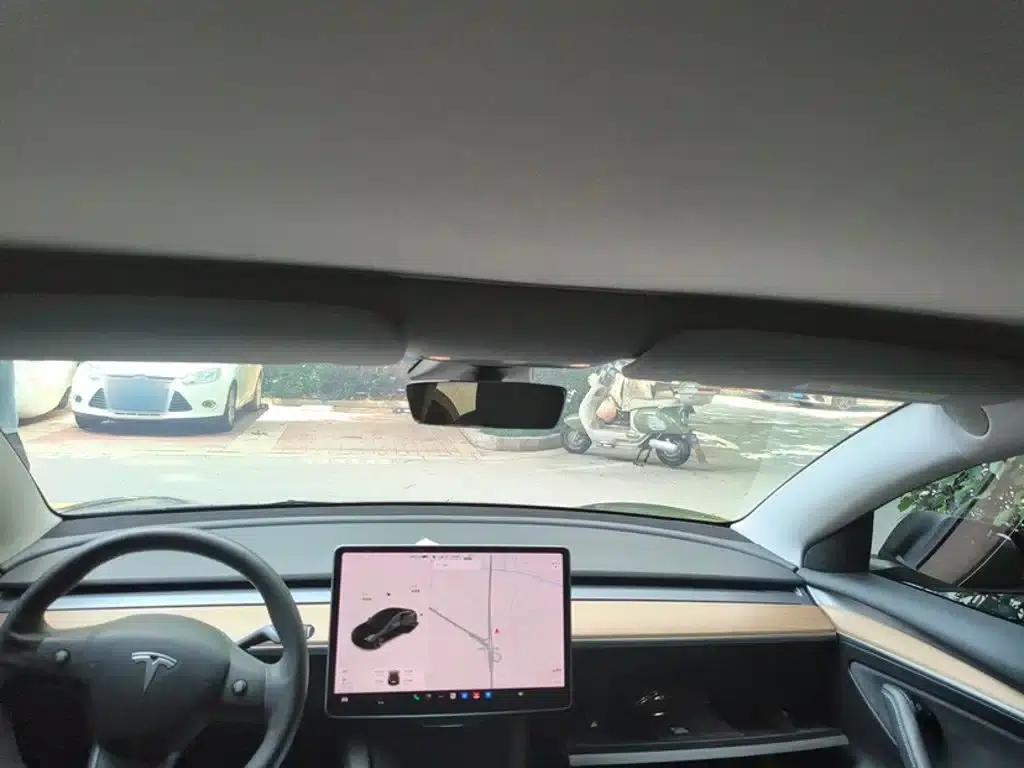 Model 3 2020 Facelift Standard Range Rear-Wheel Drive Upgrade — миниатюра 13