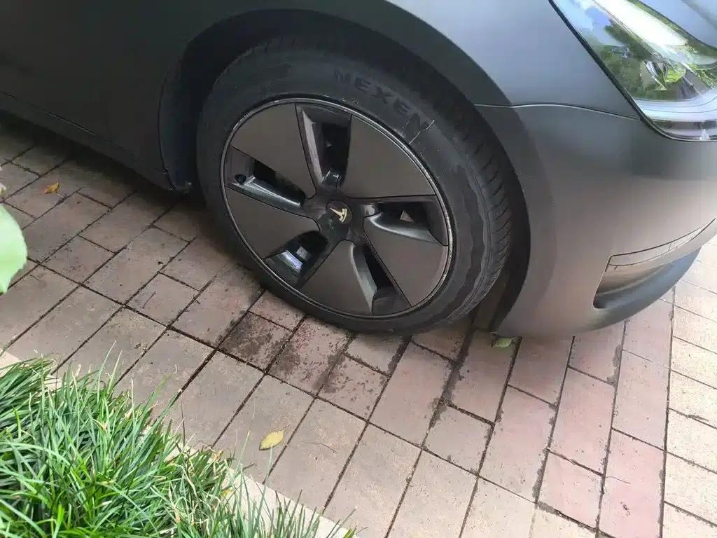 Model 3 2020 Facelift Standard Range Rear-Wheel Drive Upgrade — миниатюра 23