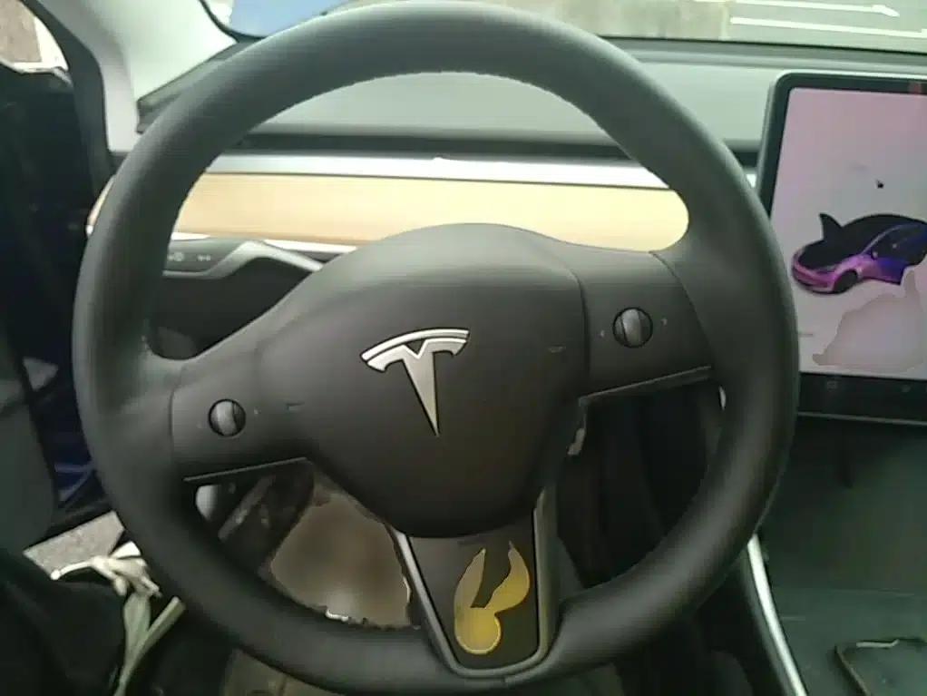 Model 3 2019 Standard Range Rear-Wheel Drive Upgrade — миниатюра 11