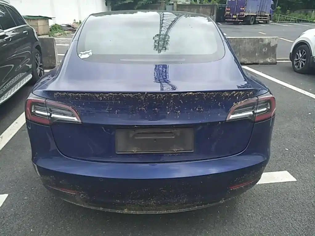 Model 3 2019 Standard Range Rear-Wheel Drive Upgrade — миниатюра 6
