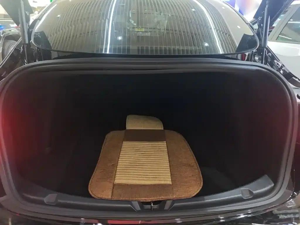 Model 3 2019 Standard Range Rear-Wheel Drive Upgrade — миниатюра 19