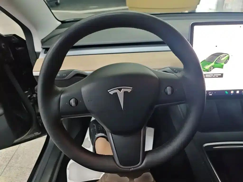 Model 3 2021 Standard Range Rear-Wheel Drive Upgrade — миниатюра 11
