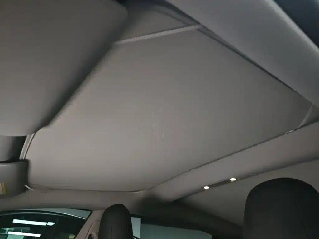 Model 3 2021 Standard Range Rear-Wheel Drive Upgrade — миниатюра 18
