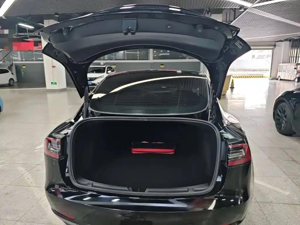 Model 3 2021 Standard Range Rear-Wheel Drive Upgrade — миниатюра 19