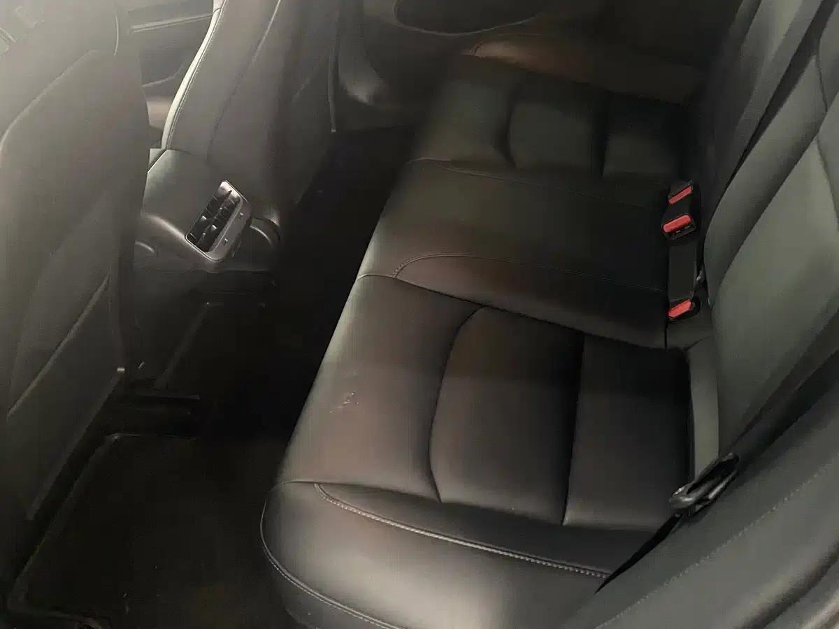 Imported 2019 Model 3 Standard Range Rear-Wheel Drive Upgrade — миниатюра 6