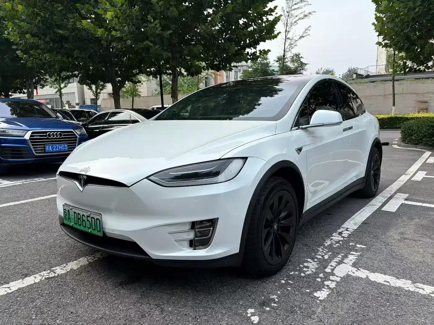 2017 Model X 100D Long Range — миниатюра 1