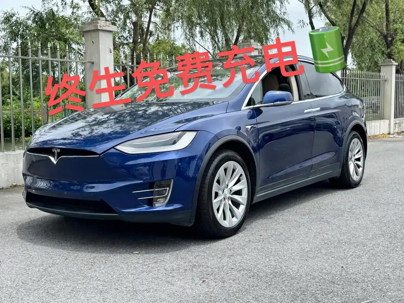 2017 Model X 100D Long Range — миниатюра 1