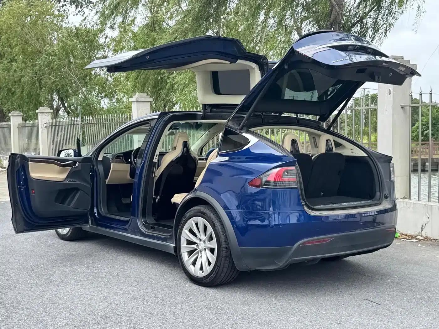 2017 Model X 100D Long Range — миниатюра 16