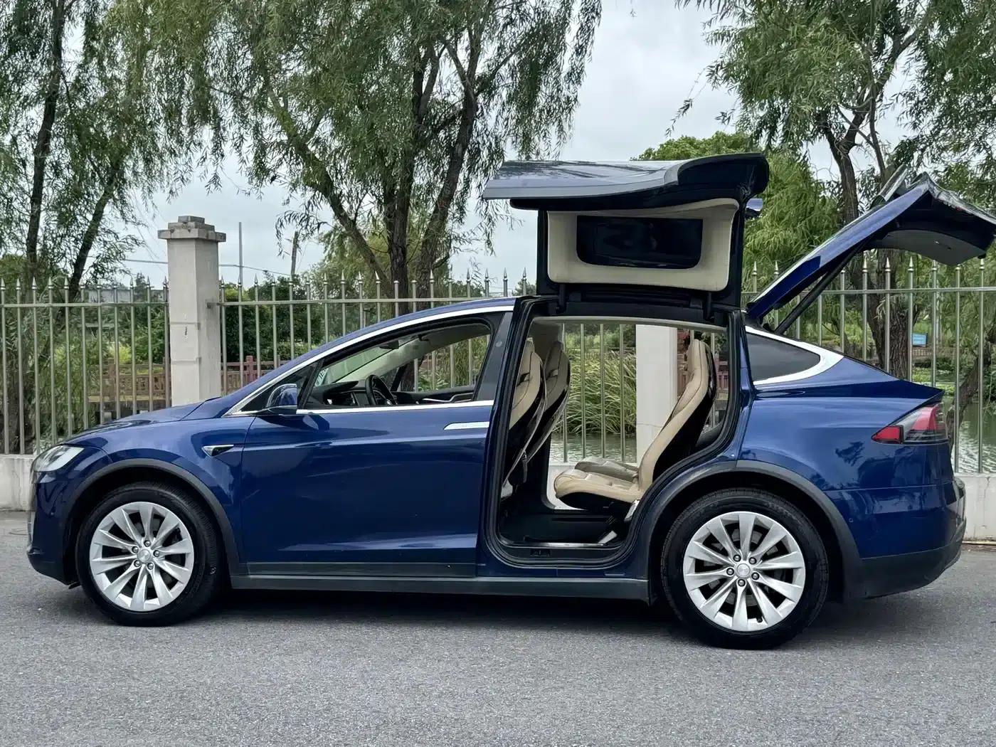 2017 Model X 100D Long Range — миниатюра 17