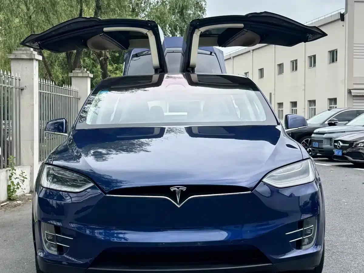 2017 Model X 100D Long Range — миниатюра 18
