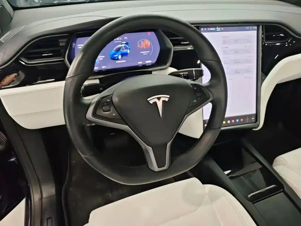 Model X 2019 Long Range — миниатюра 11