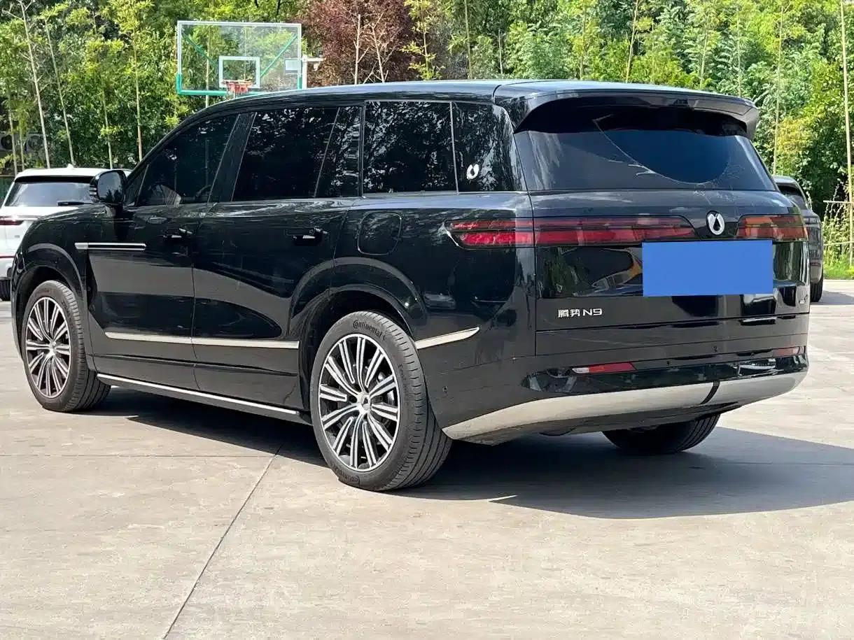 Denza N9 2025 Premium Edition — миниатюра 12