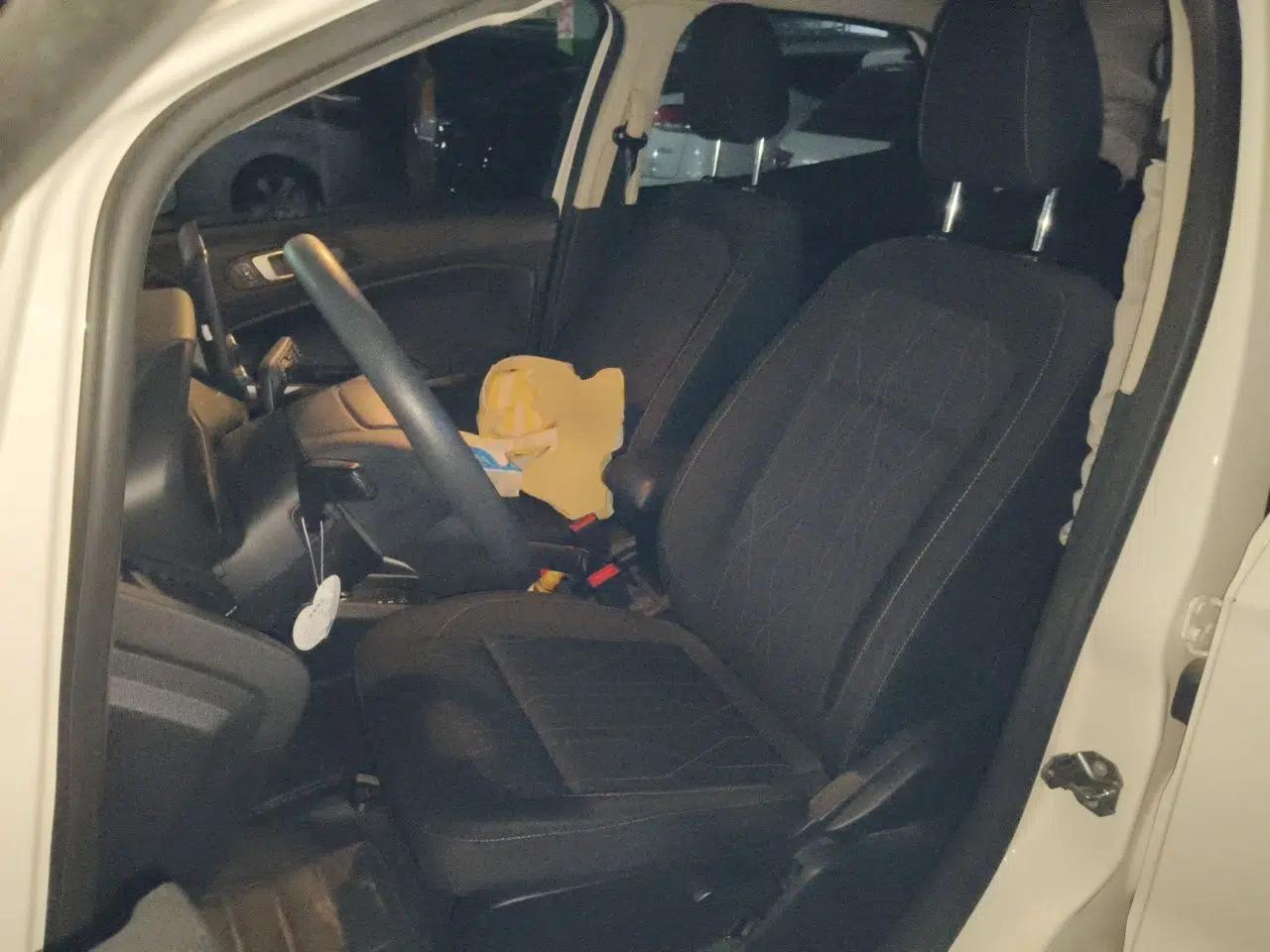 Ford EcoSport 2019 1.5L Automatic Platinum Wing Sport Edition — миниатюра 15