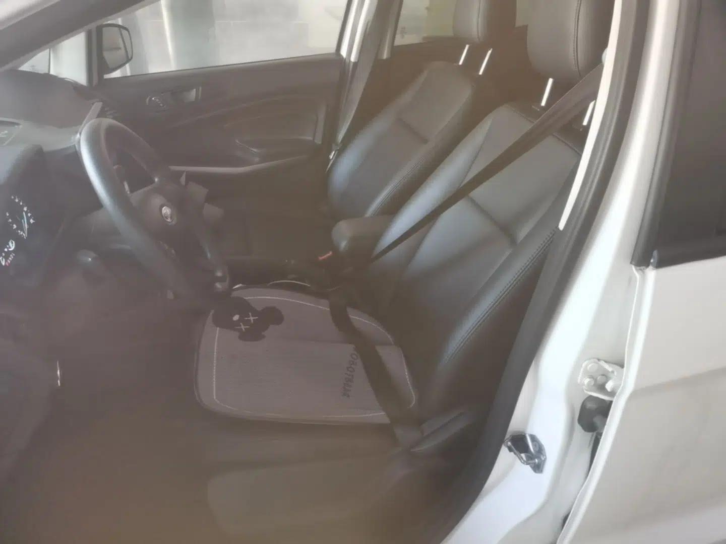 Ford EcoSport 2018 1.5L Automatic Elite Edition — миниатюра 22