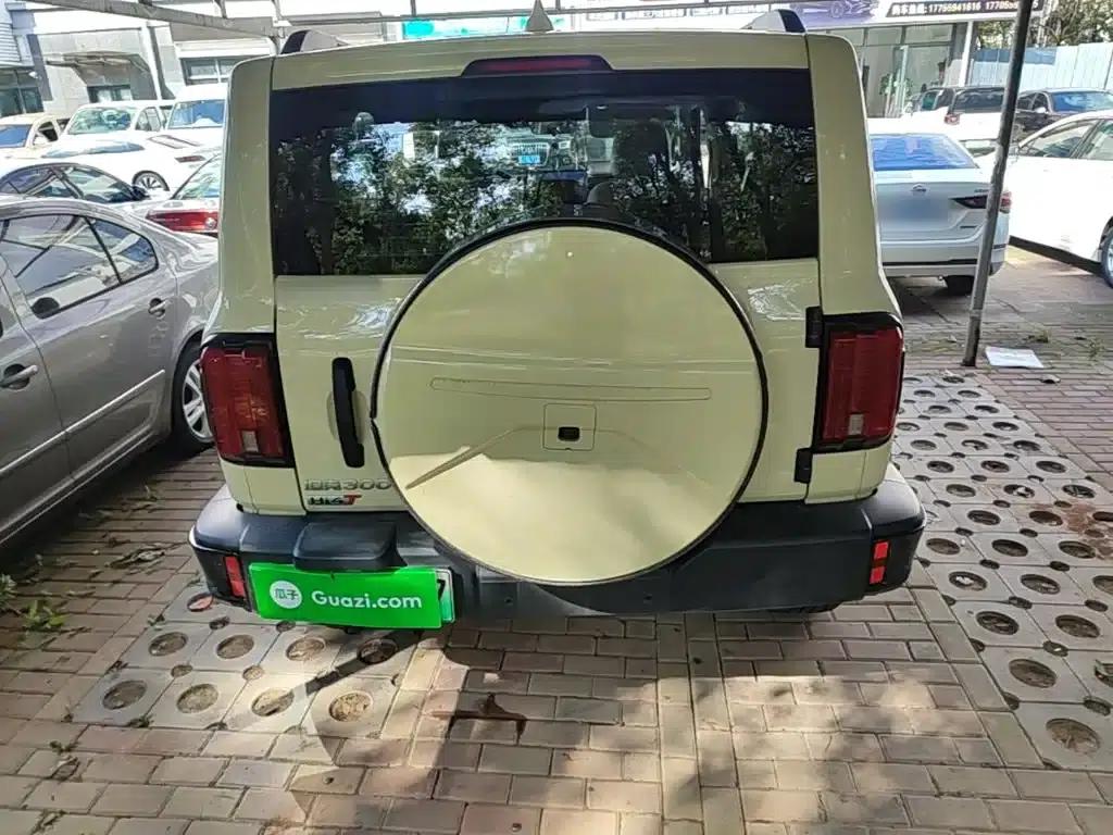 Tank 300 New Energy 2025 Hi4-T 37.1kWh — миниатюра 6
