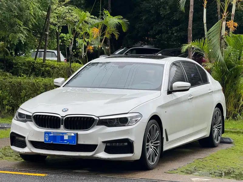 2018 BMW 5 Series 530Li Leading Edition M Sport Package — миниатюра 1