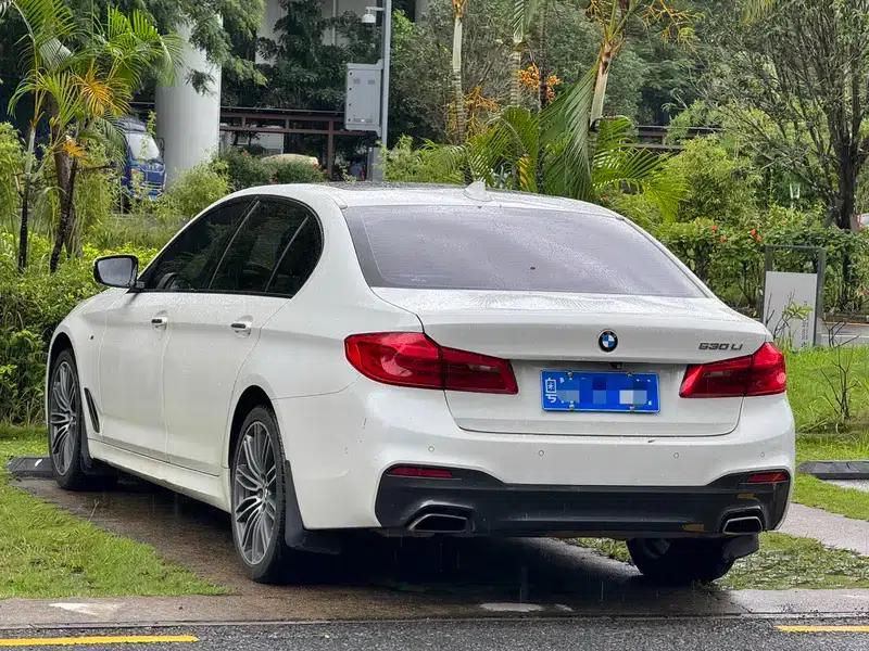 2018 BMW 5 Series 530Li Leading Edition M Sport Package — миниатюра 4