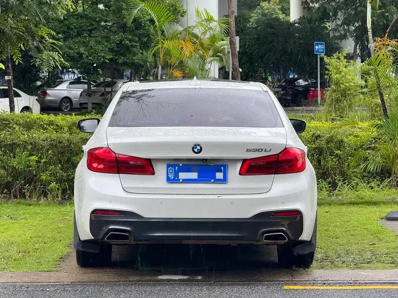2018 BMW 5 Series 530Li Leading Edition M Sport Package — миниатюра 5