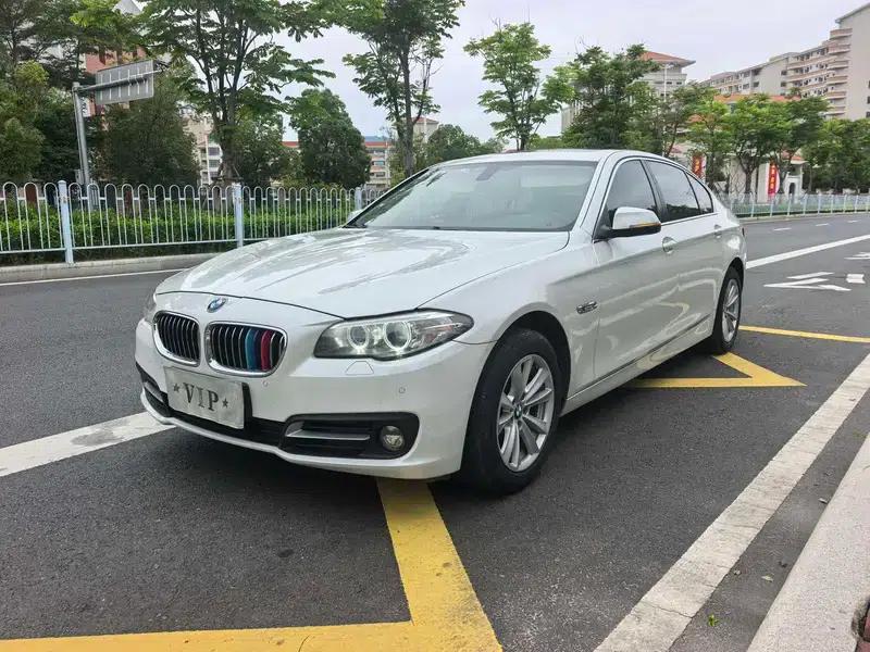 2014 BMW 5 Series 520Li Elegant Edition — миниатюра 1
