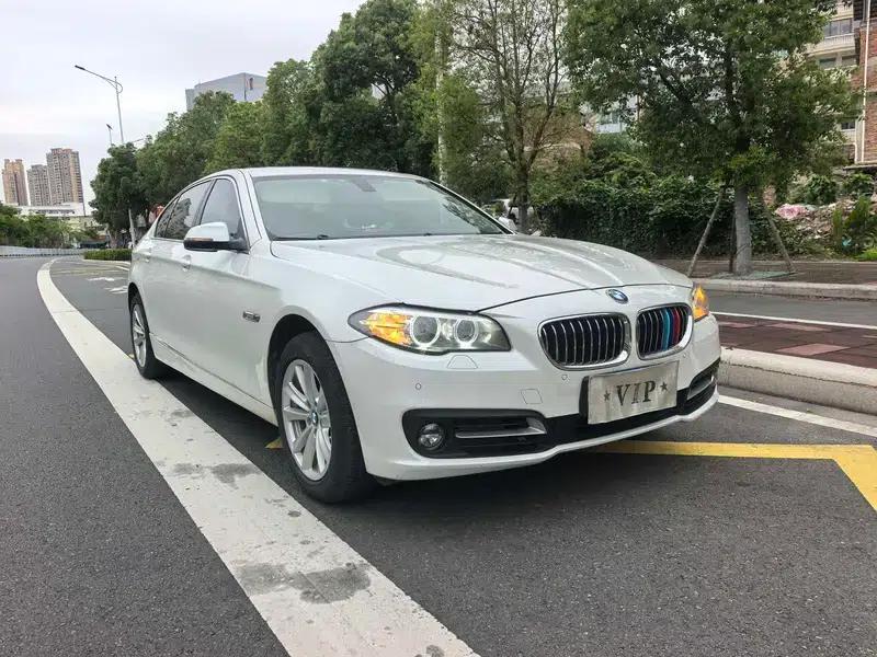 2014 BMW 5 Series 520Li Elegant Edition — миниатюра 3
