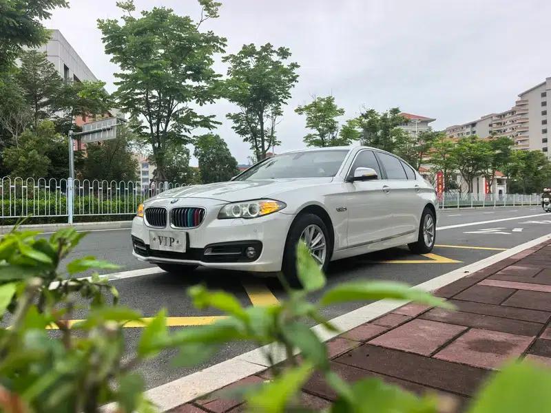 2014 BMW 5 Series 520Li Elegant Edition — миниатюра 10