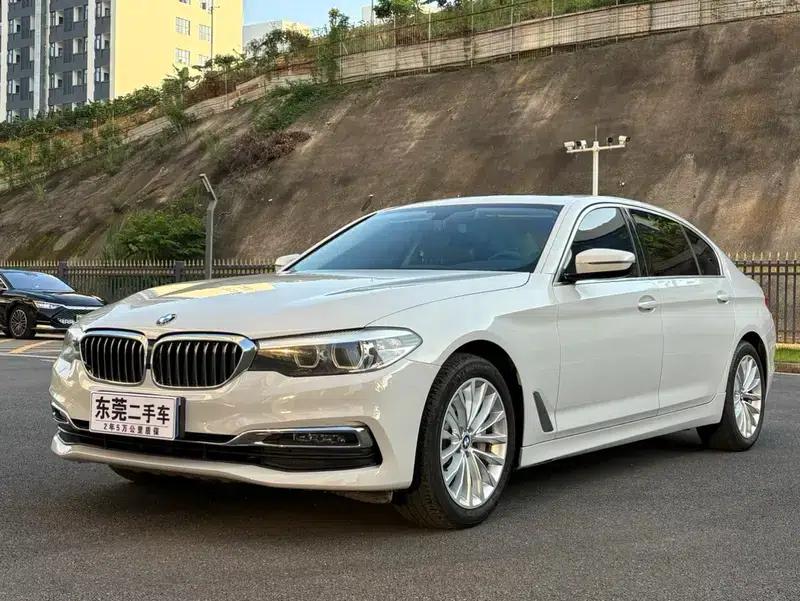 BMW 5 Series 2019 530Li Leading Luxury Package — миниатюра 1