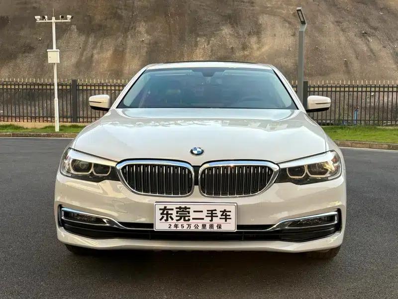 BMW 5 Series 2019 530Li Leading Luxury Package — миниатюра 2