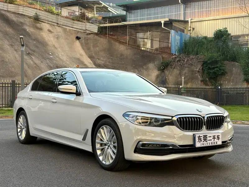 BMW 5 Series 2019 530Li Leading Luxury Package — миниатюра 3
