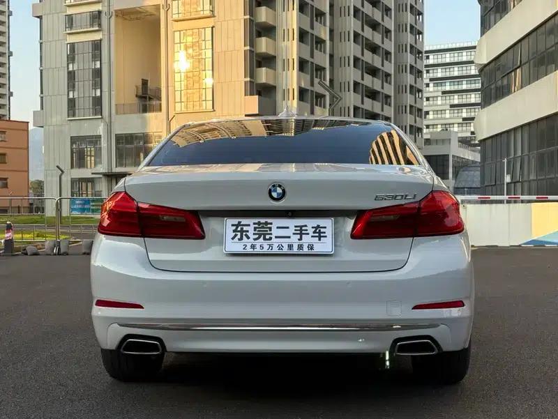 BMW 5 Series 2019 530Li Leading Luxury Package — миниатюра 6